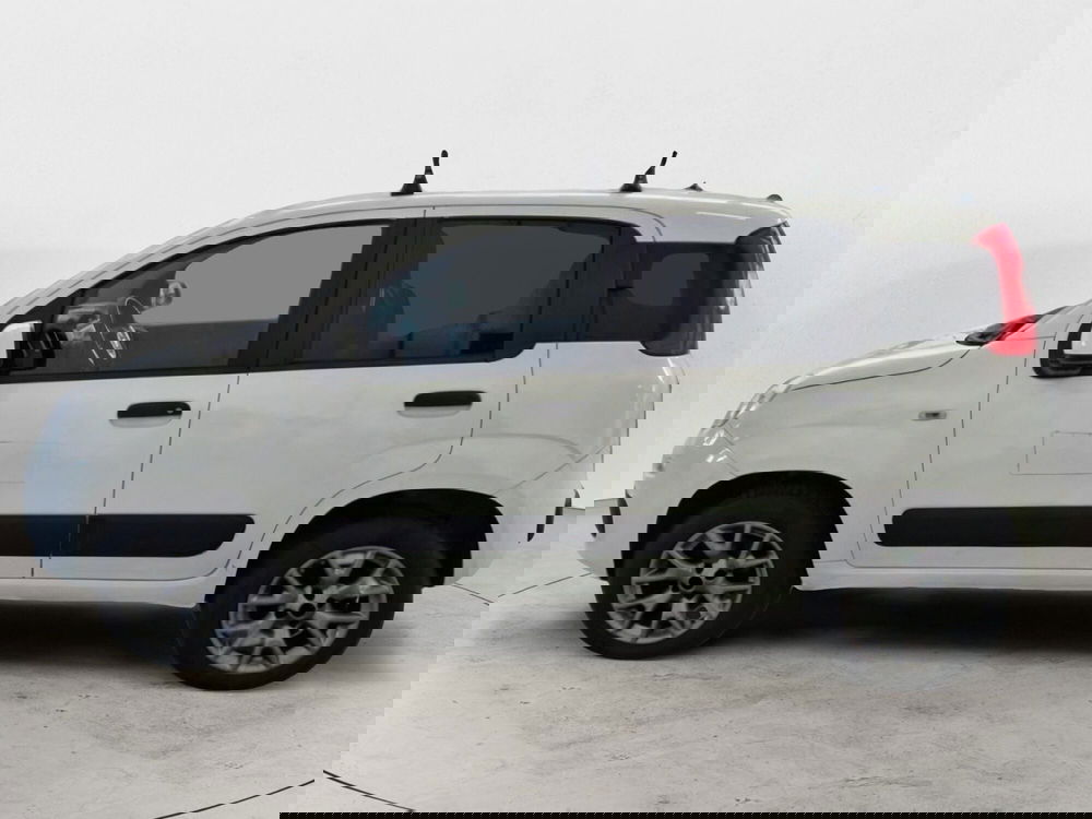 Fiat Panda usata a Salerno (4)