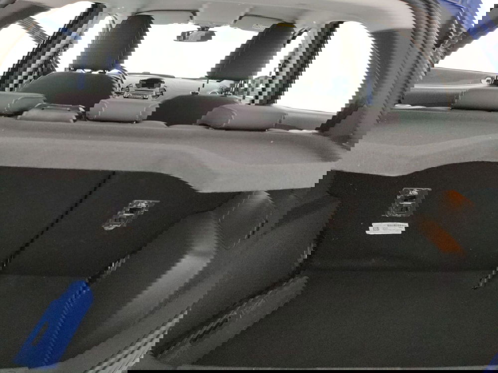 Ford Ka usata a Caserta (16)