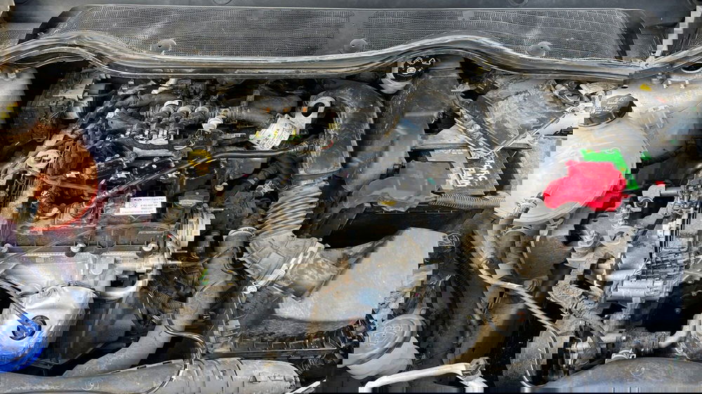 Ford Fiesta usata a Viterbo (12)