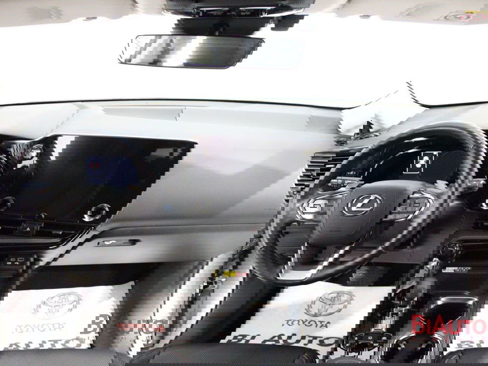 Lexus NX usata a Firenze (10)