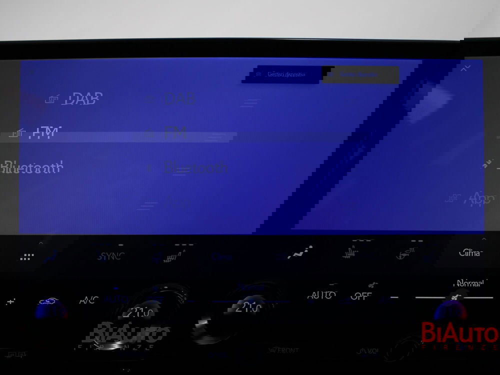 Lexus NX usata a Firenze (14)