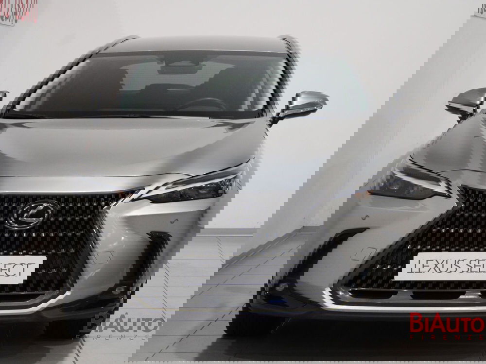 Lexus NX usata a Firenze (4)