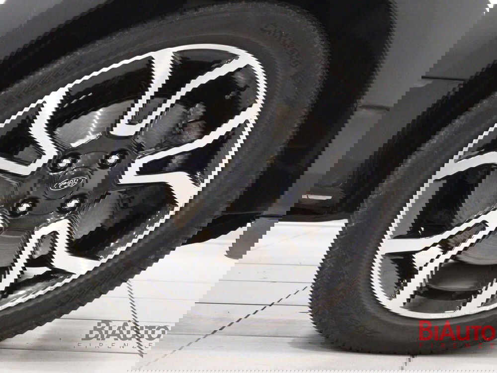 Ford EcoSport usata a Firenze (16)