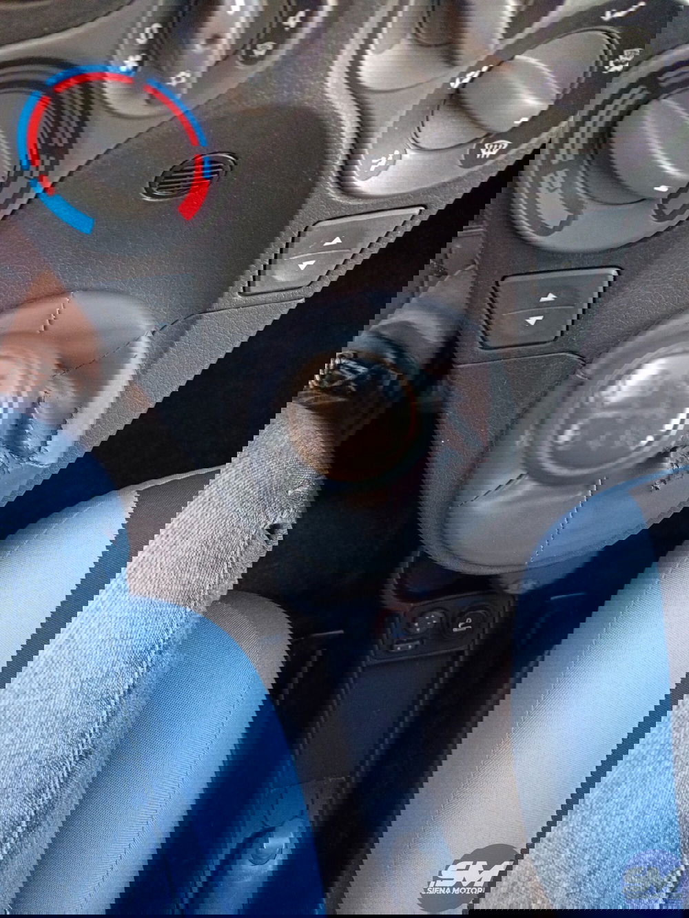 Fiat Panda usata a Siena (12)