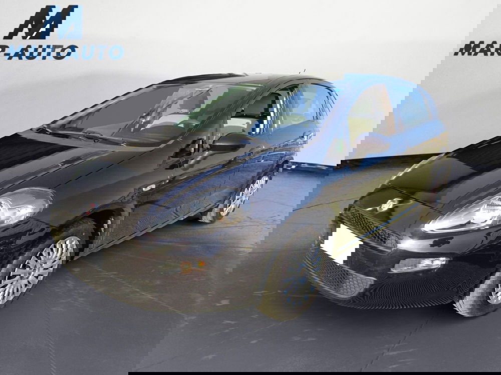 Fiat Punto usata a Treviso