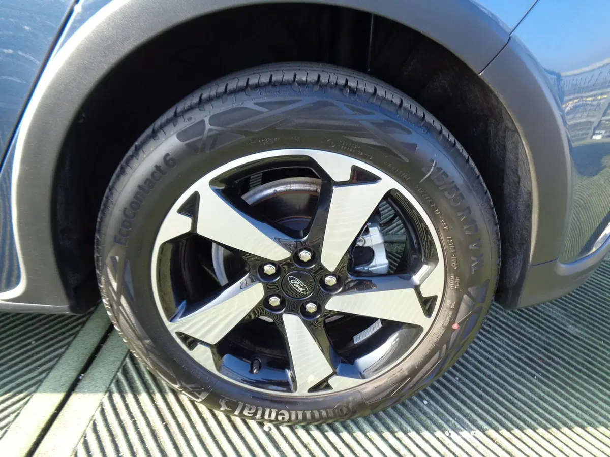 Ford Focus usata a Treviso (6)