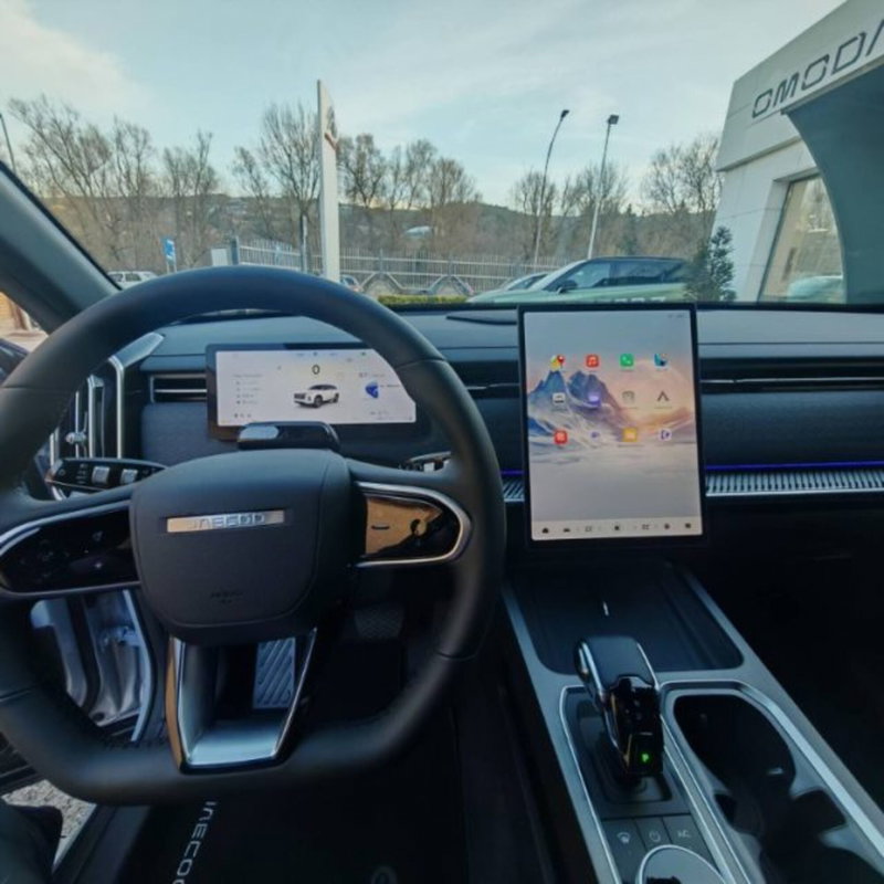 Jaecoo Jaecoo 7 nuova a Potenza (14)