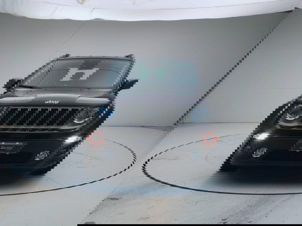 Jeep Renegade usata a Teramo (2)