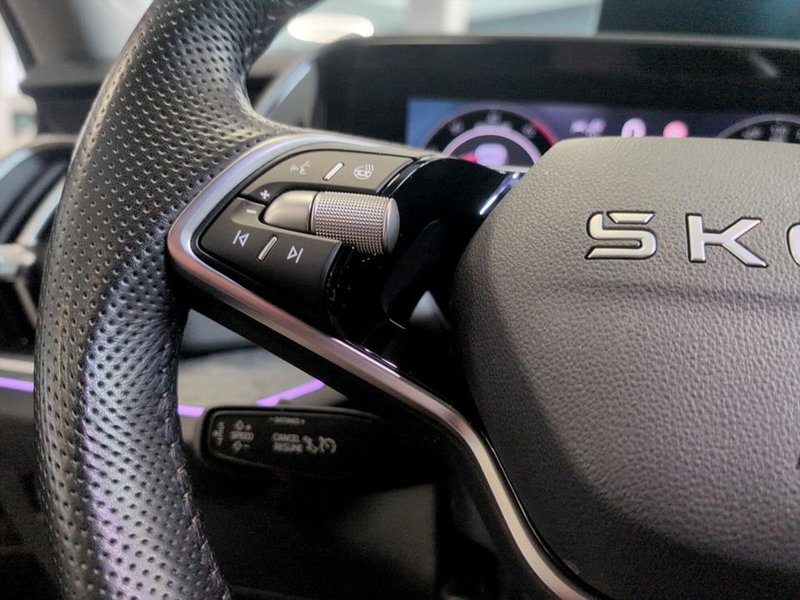 Skoda Kodiaq usata a Piacenza (15)