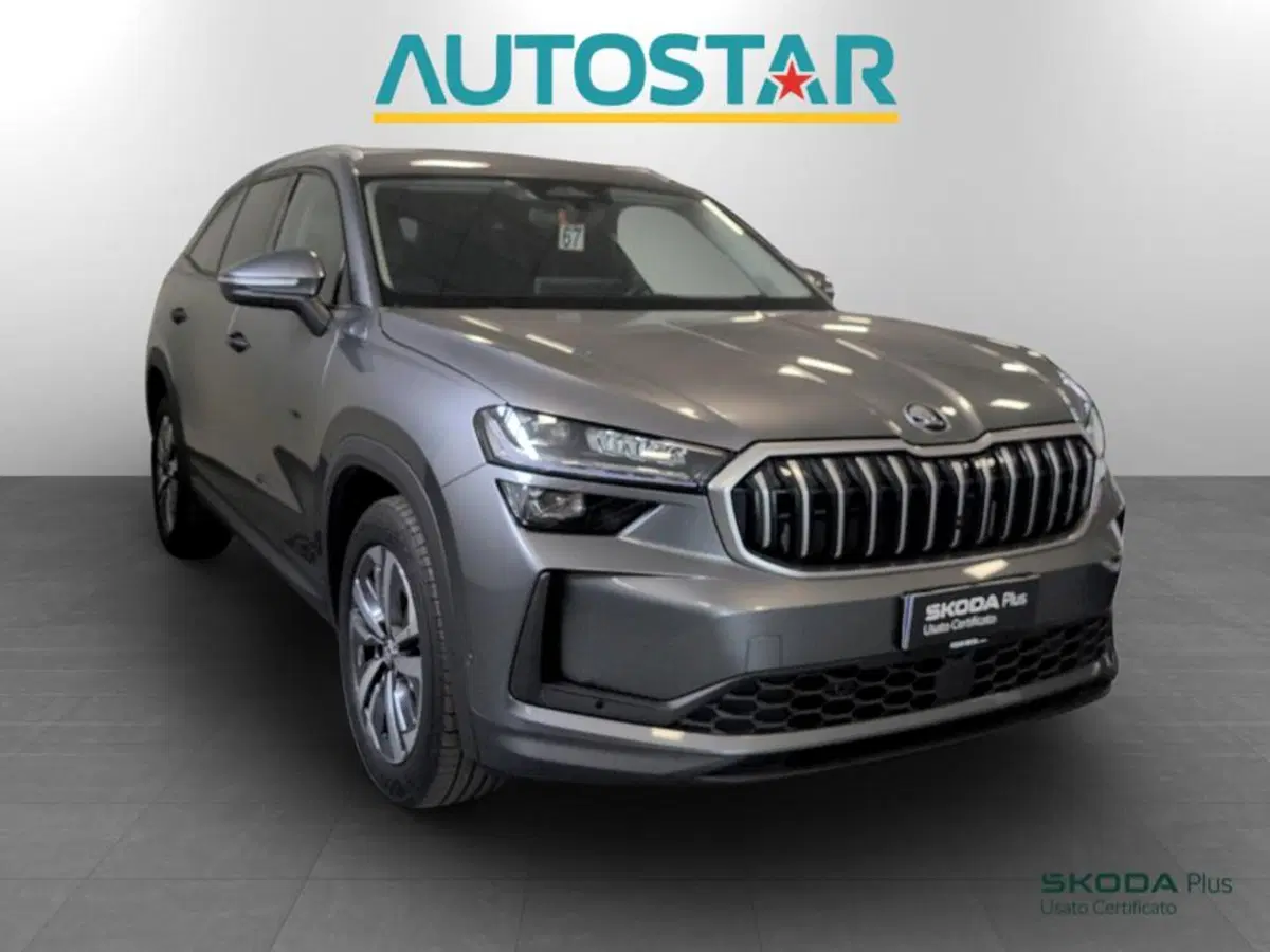 Skoda Kodiaq usata a Piacenza (3)