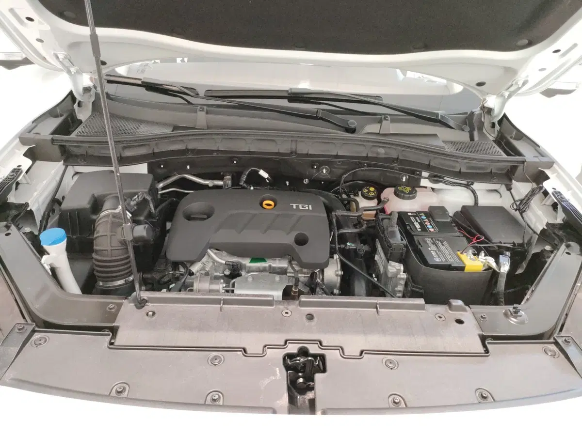 Mg ZS nuova a L'Aquila (10)