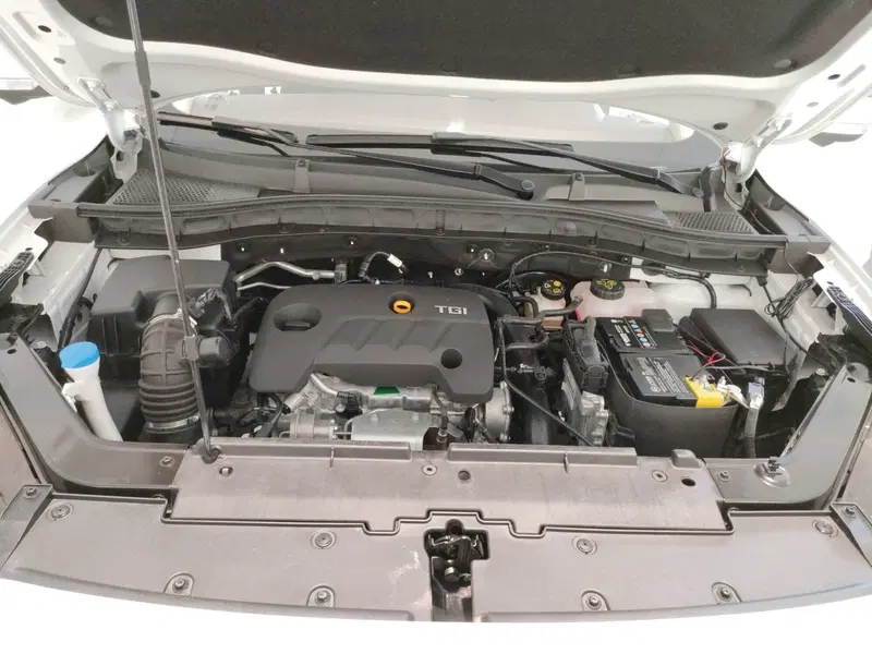 Mg ZS nuova a L'Aquila (10)