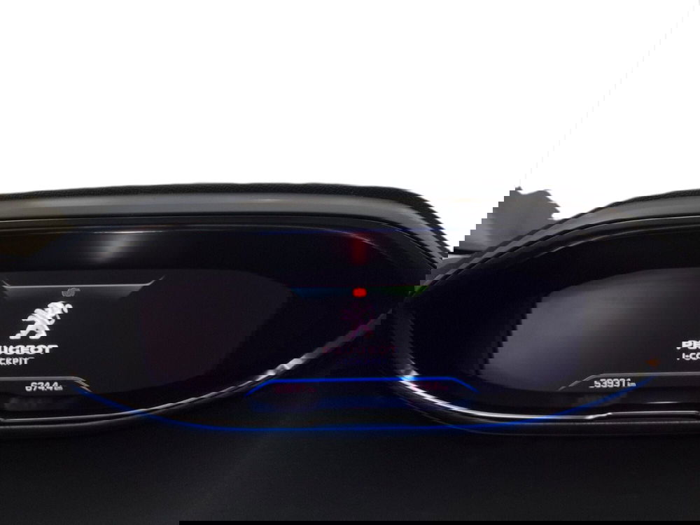 Peugeot 3008 usata a Torino (11)