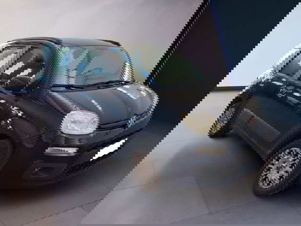 Fiat Panda usata a Torino (3)