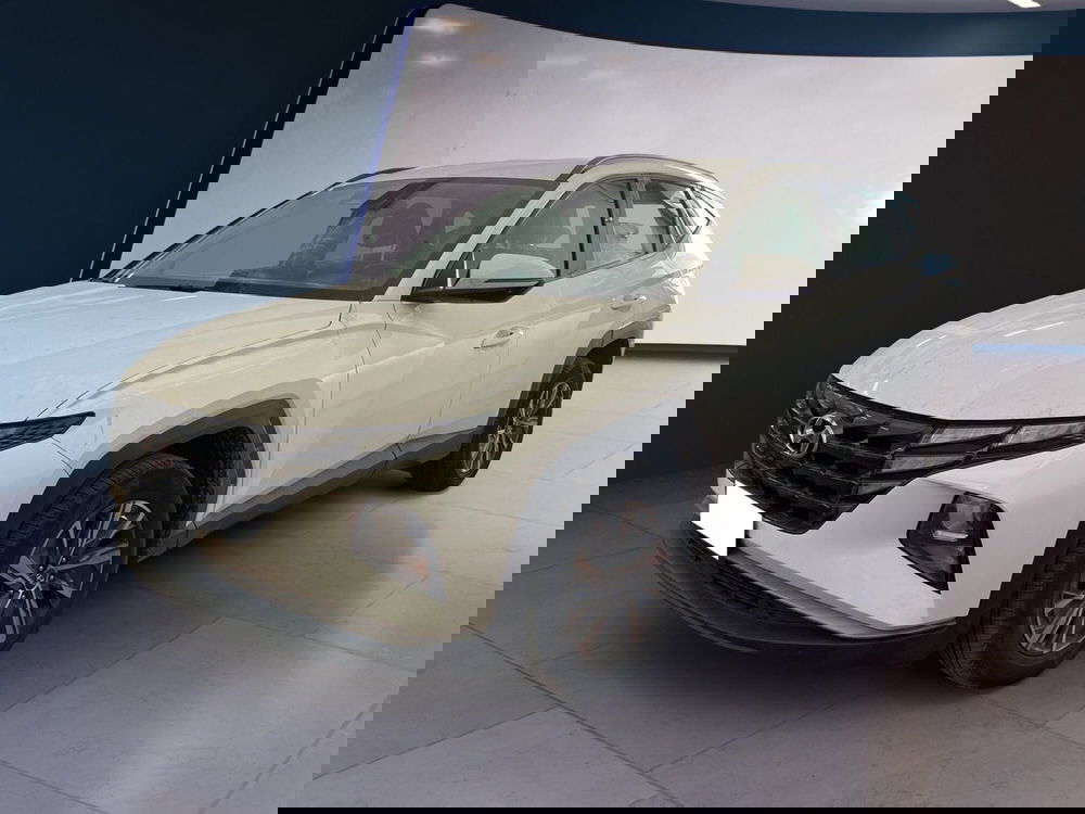 Hyundai Tucson usata a Torino (2)