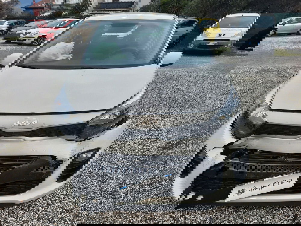 Kia Picanto usata a La Spezia (2)