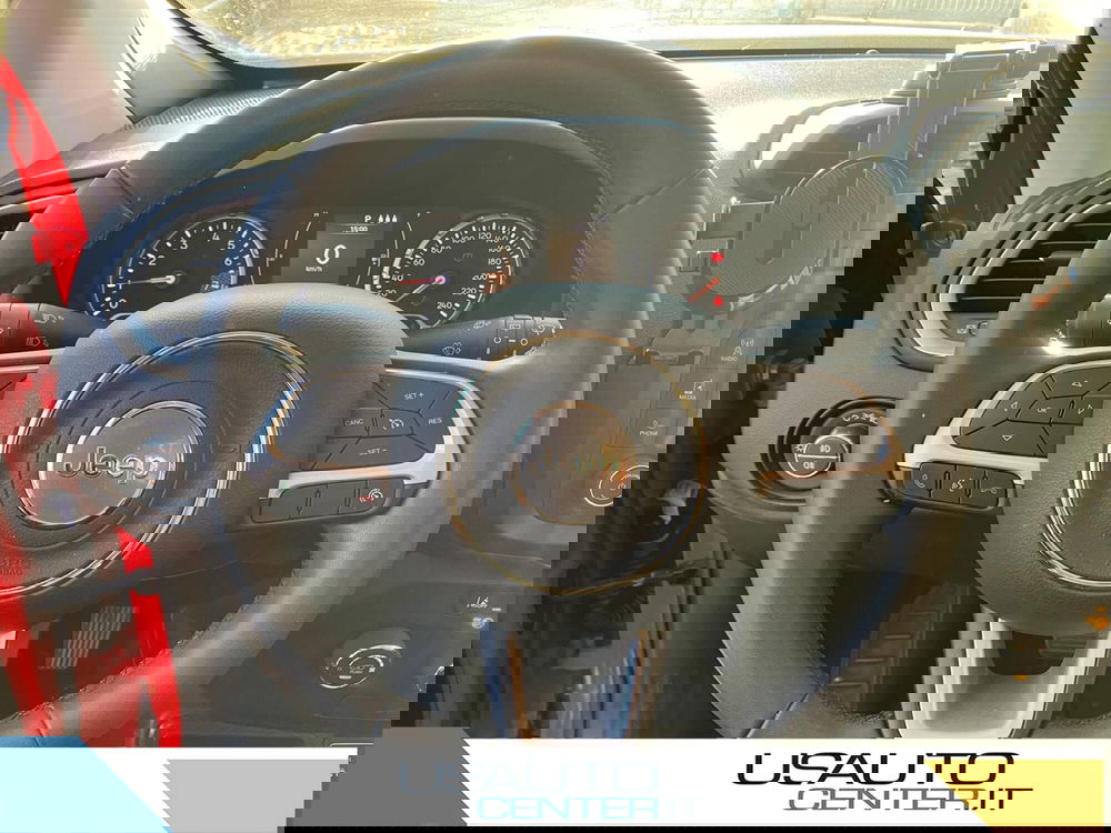 Jeep Renegade usata a Monza e Brianza (9)