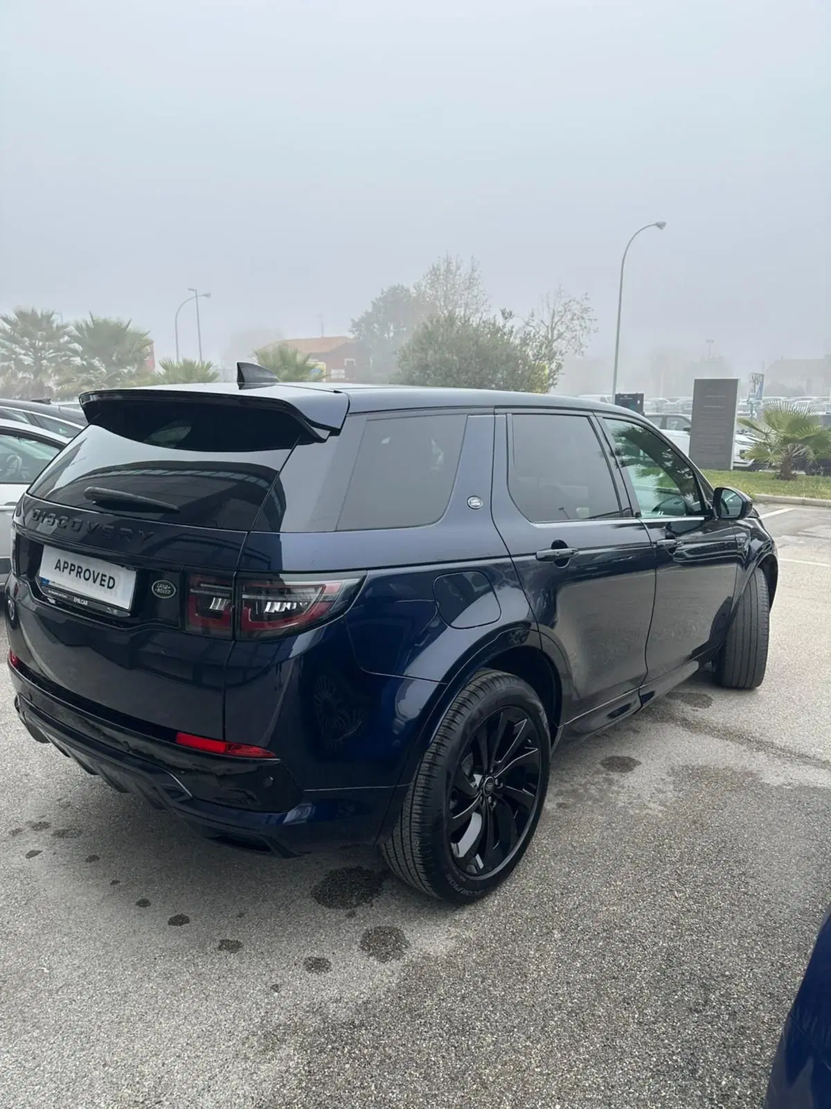 Land Rover Discovery Sport usata a Ascoli Piceno (2)
