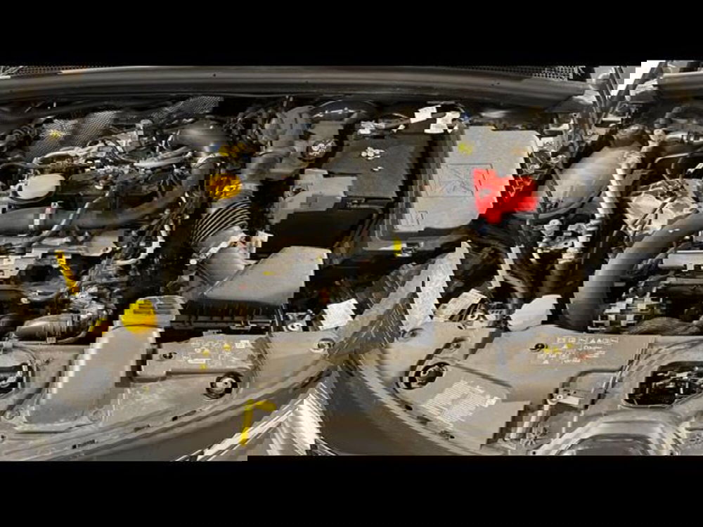 Renault Clio usata a Firenze (14)