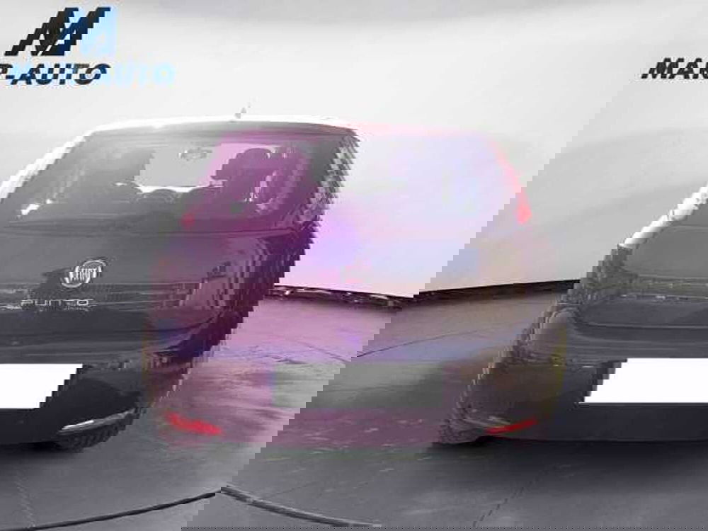 Fiat Punto usata a Treviso (16)