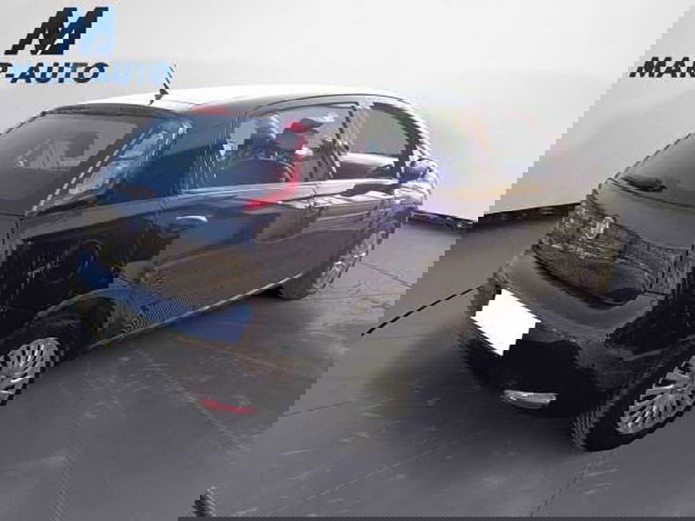 Fiat Punto usata a Treviso (3)