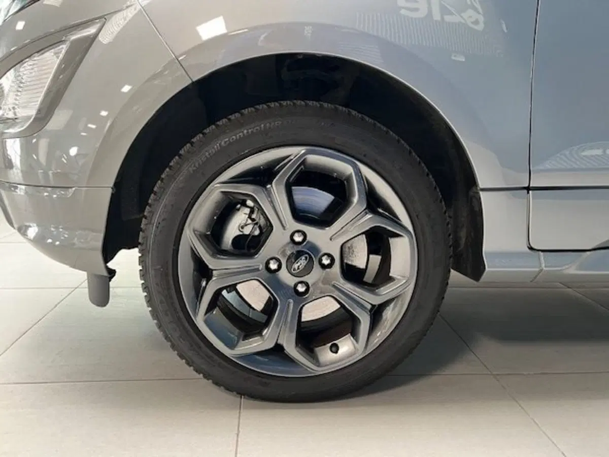 Ford EcoSport usata a Cuneo (16)