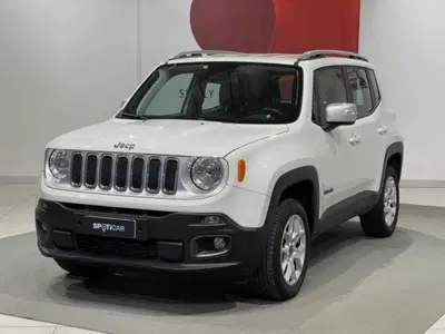 Jeep Renegade 2.0 Mjt 140CV 4WD Active Drive Limited del 2018 usata a Montagna in Valtellina