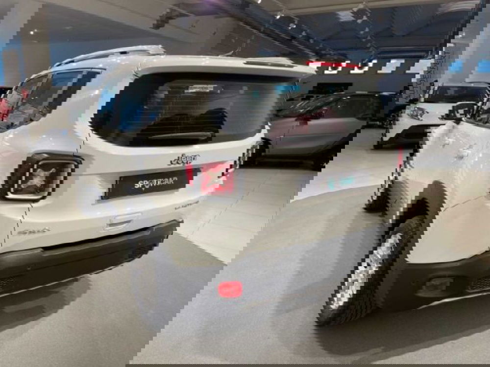 Jeep Renegade usata a Sondrio (3)