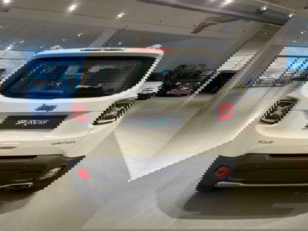 Jeep Renegade usata a Sondrio (4)