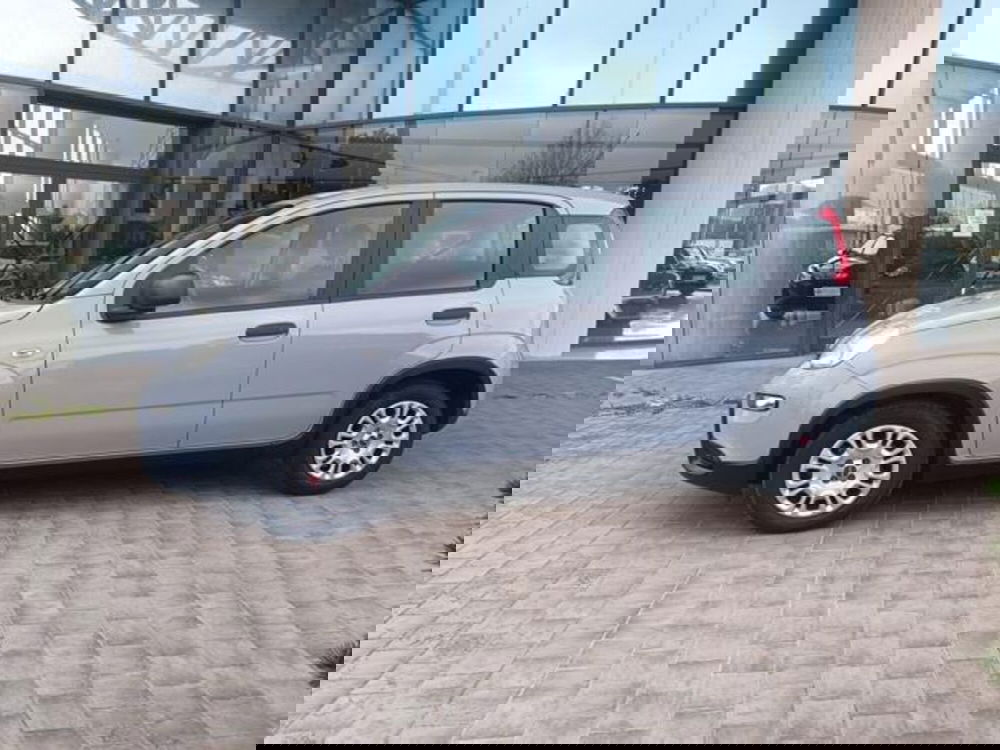 Fiat Panda usata a Pisa (20)