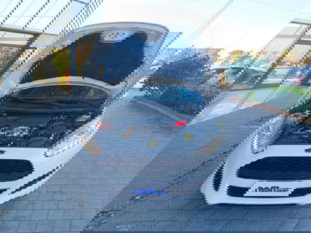 Ford Fiesta usata a Pisa (17)