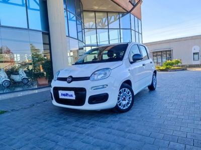 Fiat Panda 1.0 firefly hybrid s&amp;s 70cv 5p.ti del 2021 usata a Castelfranco di Sotto