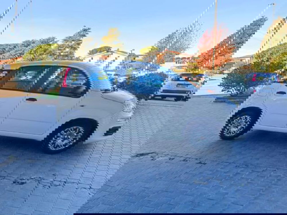 Fiat Panda usata a Pisa (13)