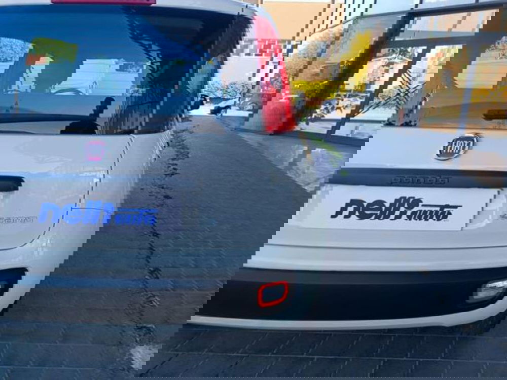 Fiat Panda usata a Pisa (14)