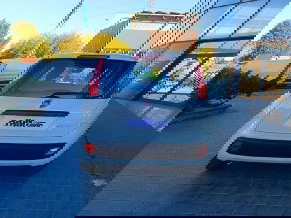 Fiat Panda usata a Pisa (17)
