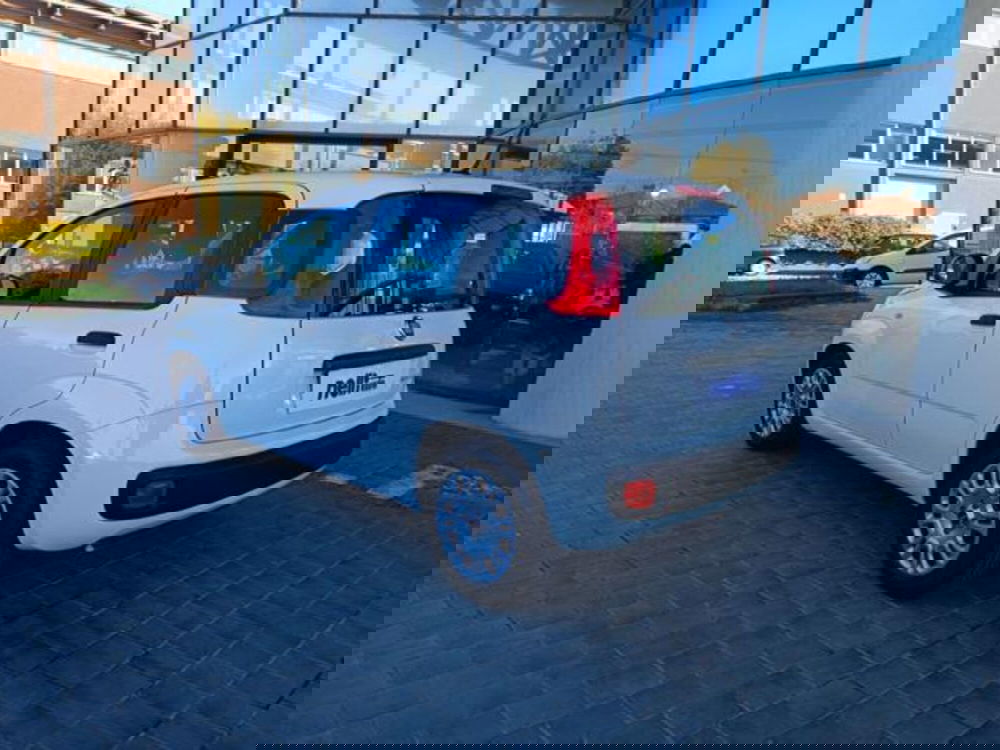Fiat Panda usata a Pisa (20)