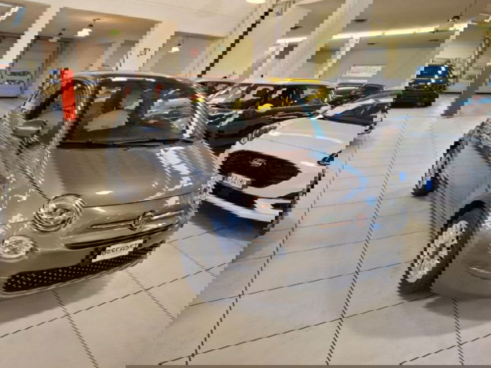 Fiat 500 usata a Vicenza (3)