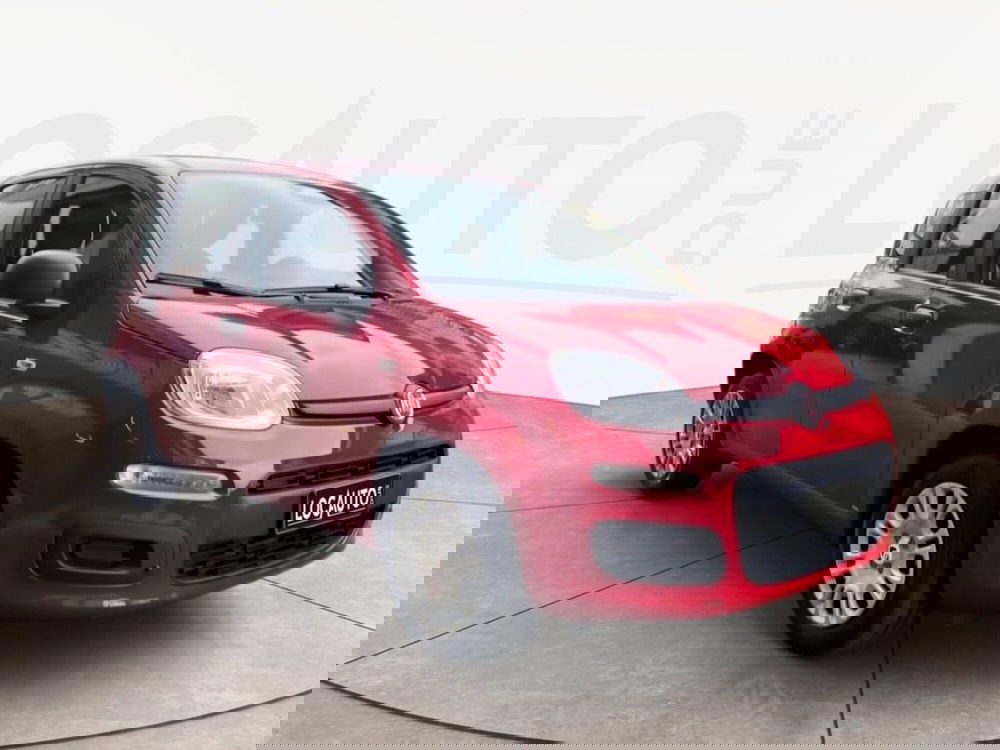 Fiat Pandina nuova a Torino (3)