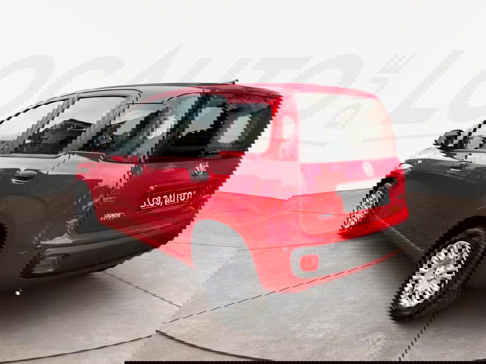 Fiat Pandina nuova a Torino (5)