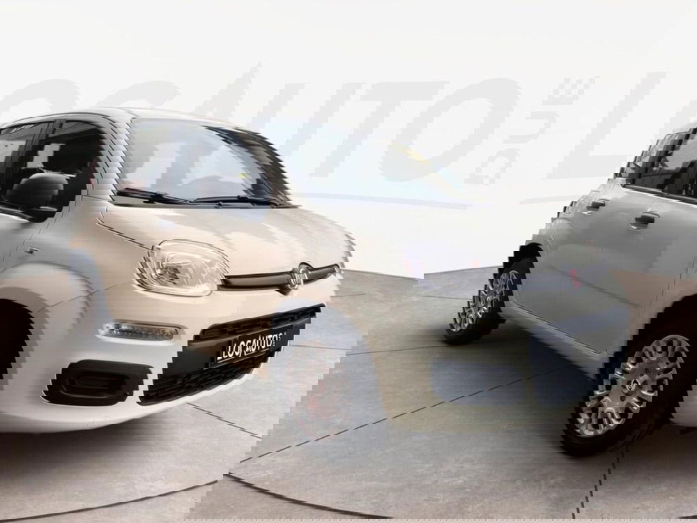 Fiat Pandina nuova a Torino (3)