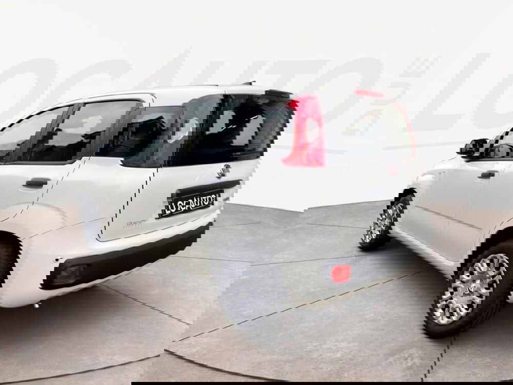 Fiat Pandina nuova a Torino (5)