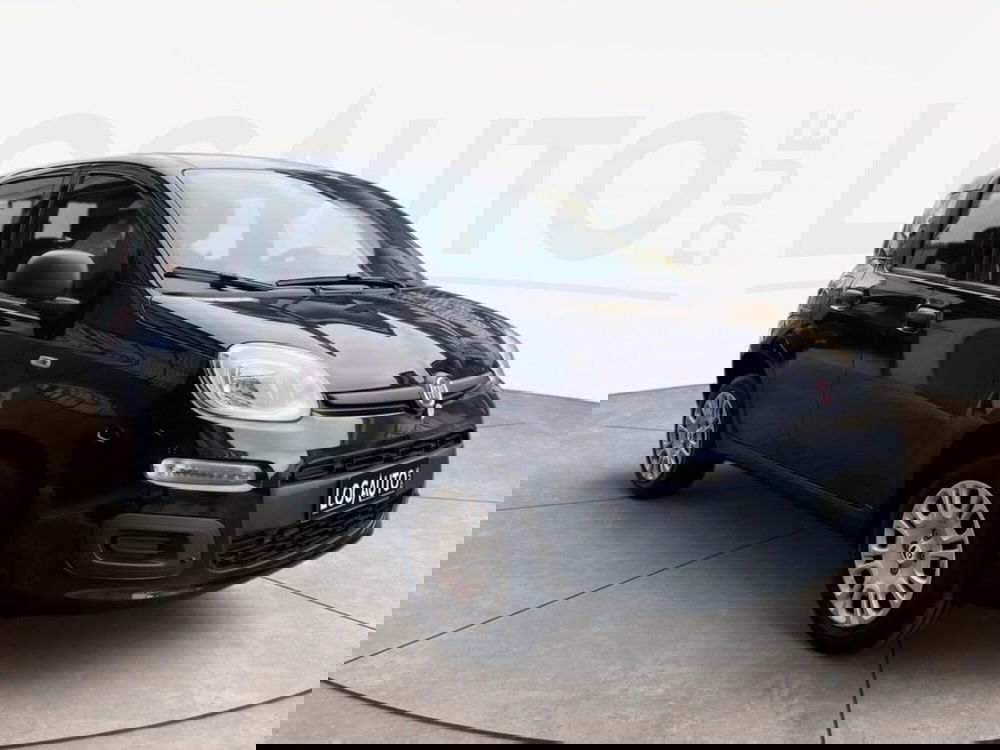 Fiat Pandina nuova a Torino (3)