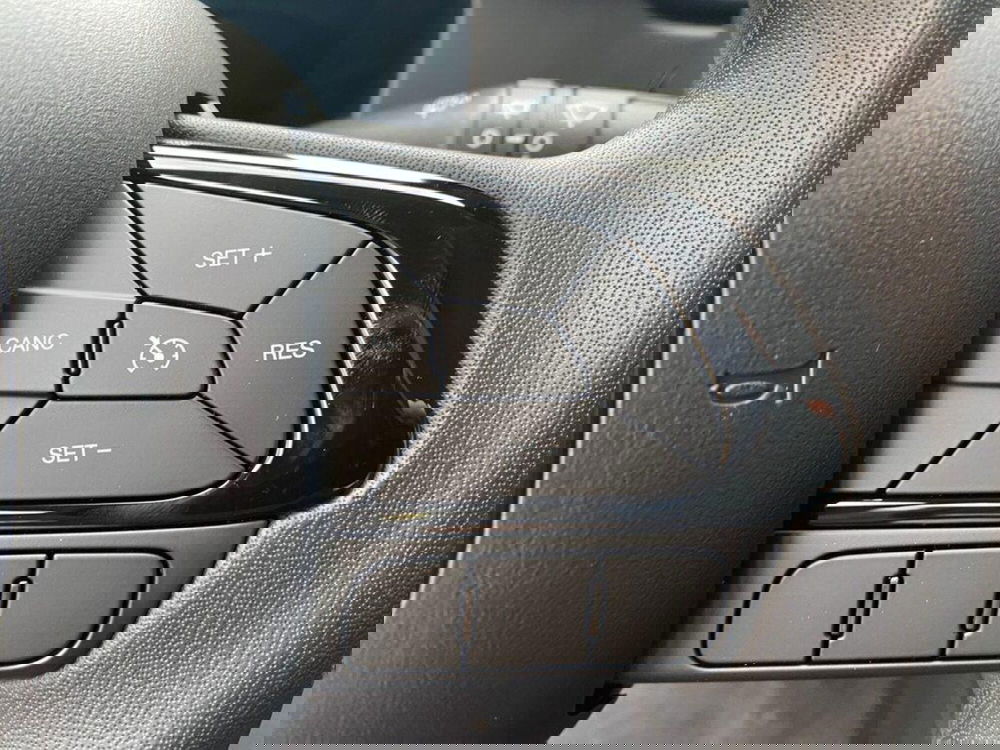 Fiat Pandina nuova a Torino (14)