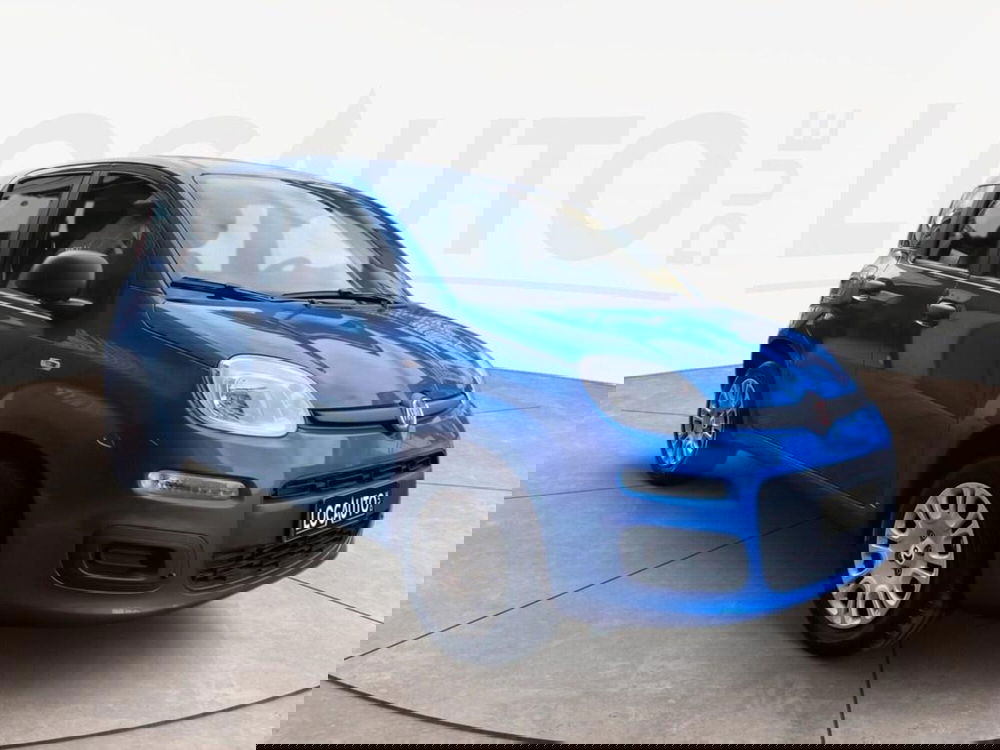 Fiat Pandina nuova a Torino (3)