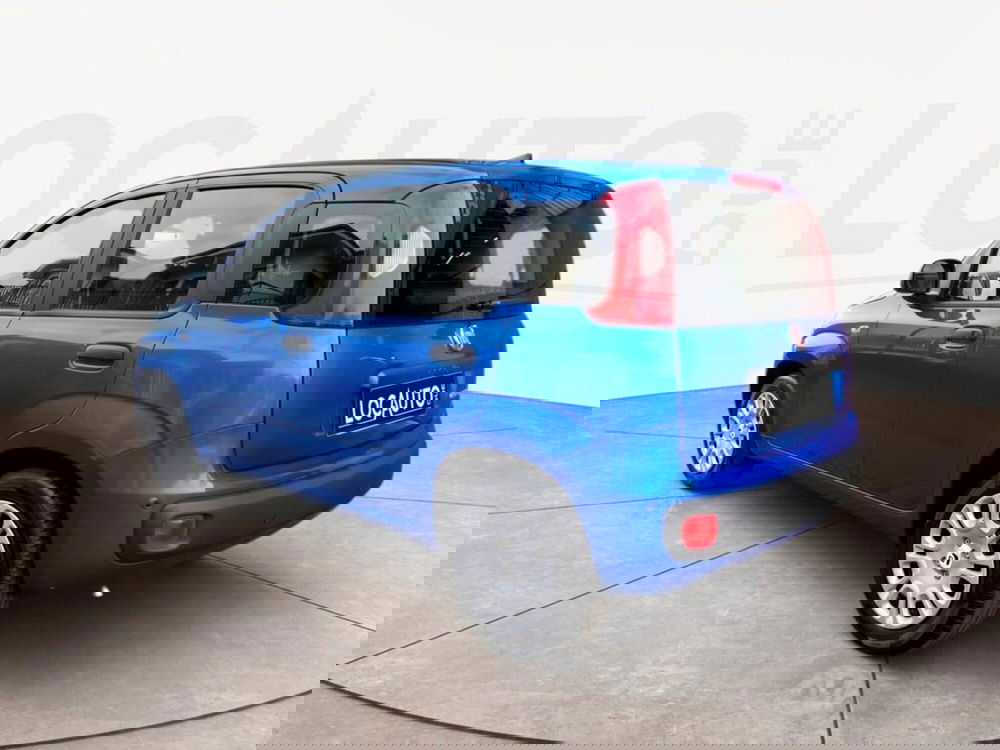 Fiat Pandina nuova a Torino (5)