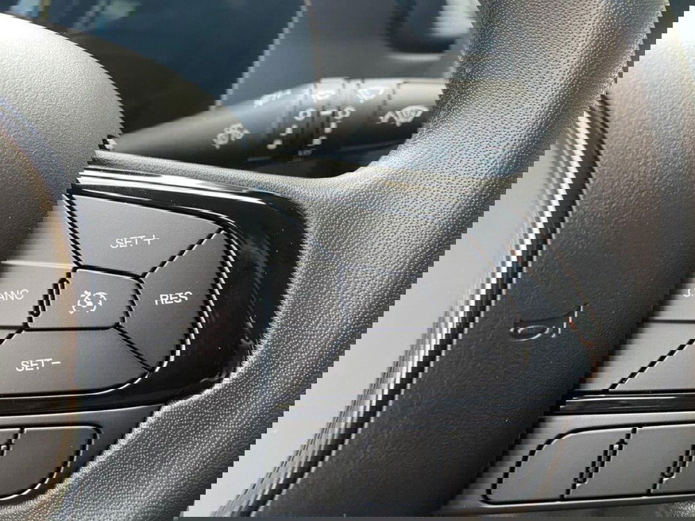 Fiat Pandina nuova a Torino (14)