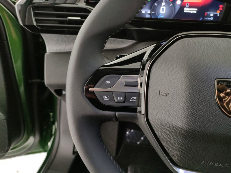 Peugeot 308 usata a Caserta (20)