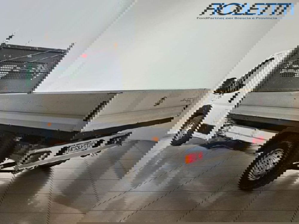 Fiat Ducato Cabinato Cabinato usata a Brescia (2)