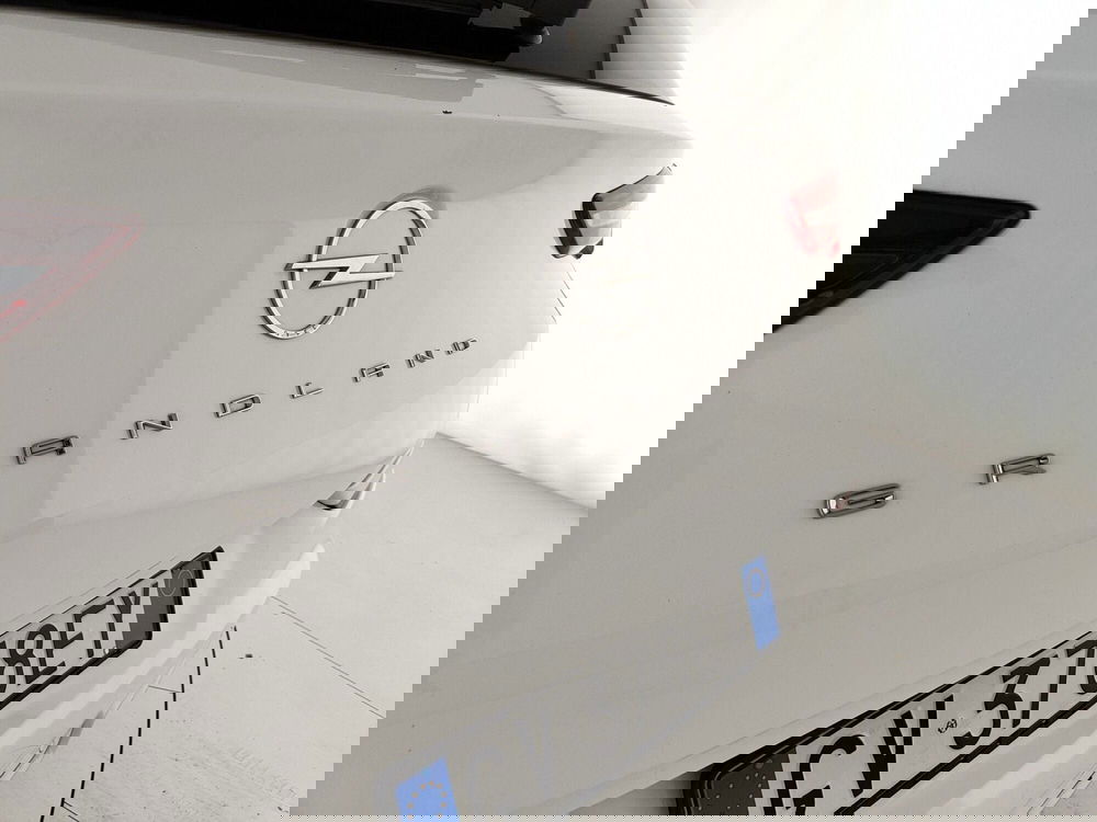 Opel Grandland usata a Caserta (10)