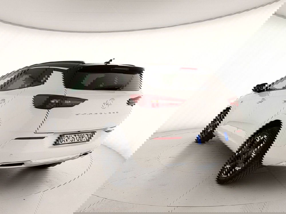 Opel Grandland usata a Caserta (4)